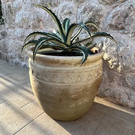 Apartment Jakov & Antonia Heritage Estate Hvar Town