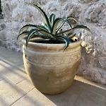 公寓 Jakov & Antonia Heritage Estate 赫瓦尔